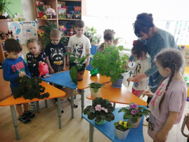 «Юные экологи». «Юные экологи».