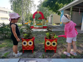 Красота цветочного мира Красота цветочного мира.