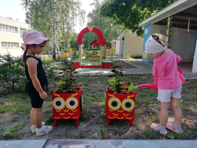 Красота цветочного мира Красота цветочного мира.