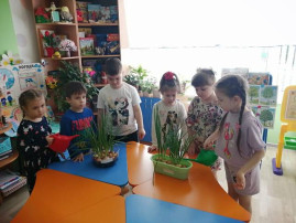 Уход за растениями, которые сажали вместе. Уход за растениями, которые сажали вместе.